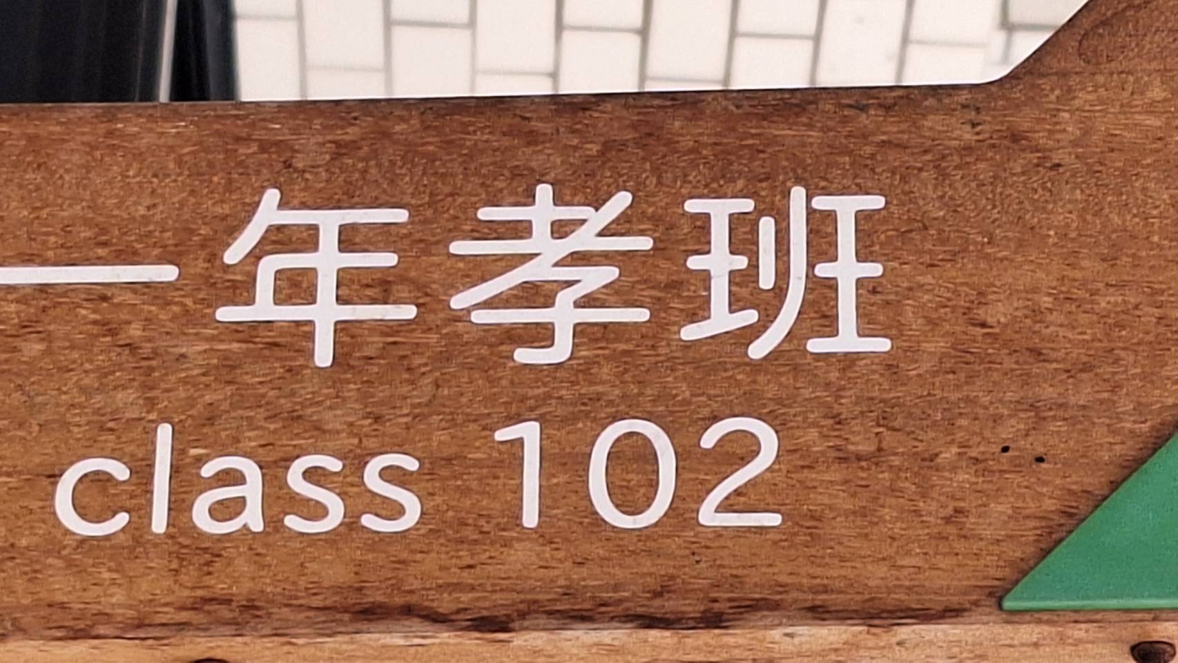 113一年孝班